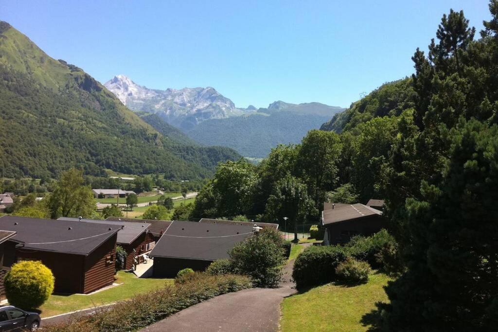 Chalet De L'Ours Brun, Gite 3 Etoiles Gere-Belesten エクステリア 写真